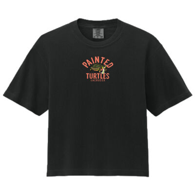Painted Turtles - Women's Heavyweight Boxy Tee Thumbnail